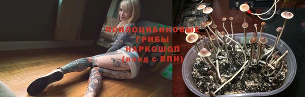 сатива Абаза