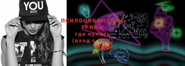 сатива Абаза
