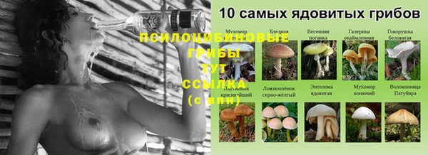 прущие крисы Абдулино